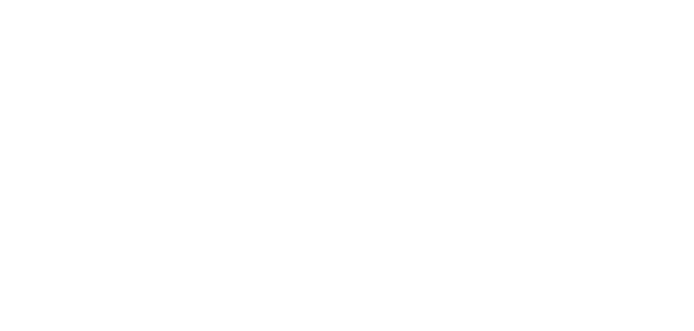 vizrm